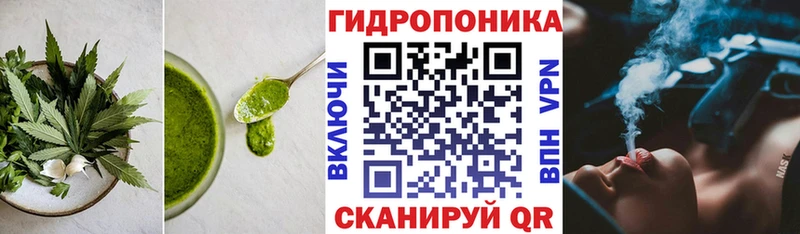 Печенье с ТГК конопля  Прохладный 