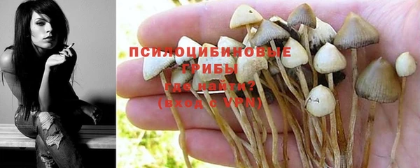 спиды Абинск