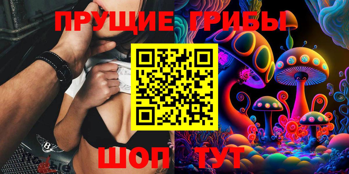 Псилоцибиновые грибы Cubensis  Вход с VPN  Прохладный 
