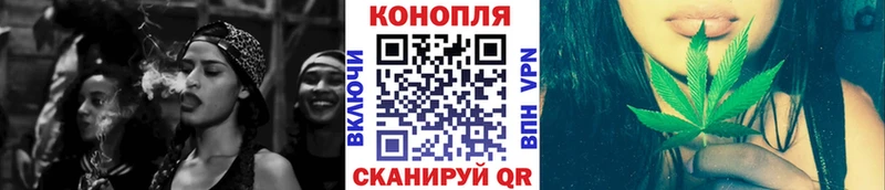 kraken онион  Прохладный  Марихуана ГИДРОПОН 